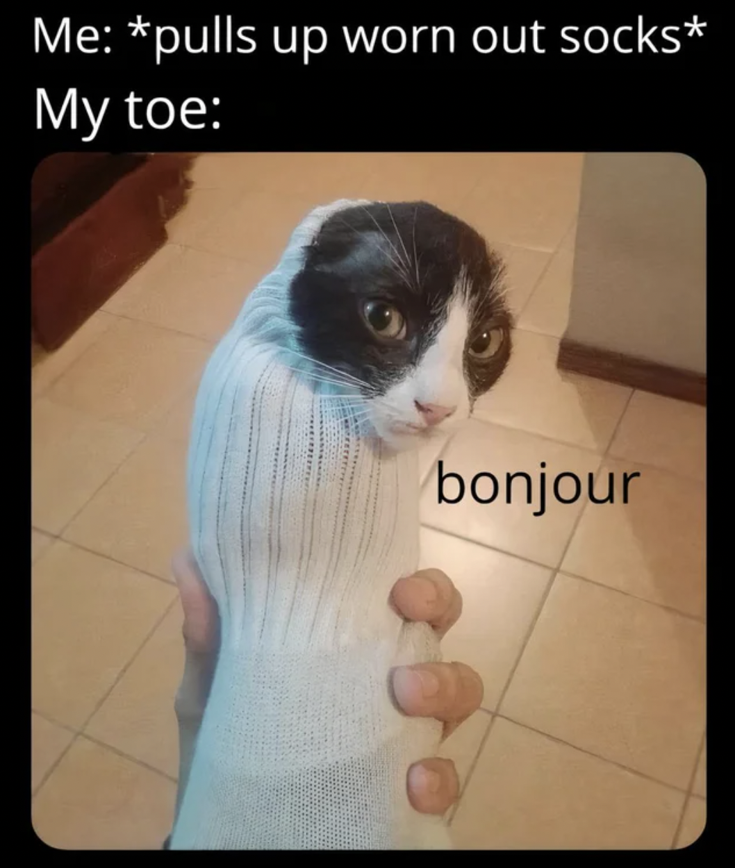 Dank Memes - socks meme - Me pulls up worn out socks My toe bonjour