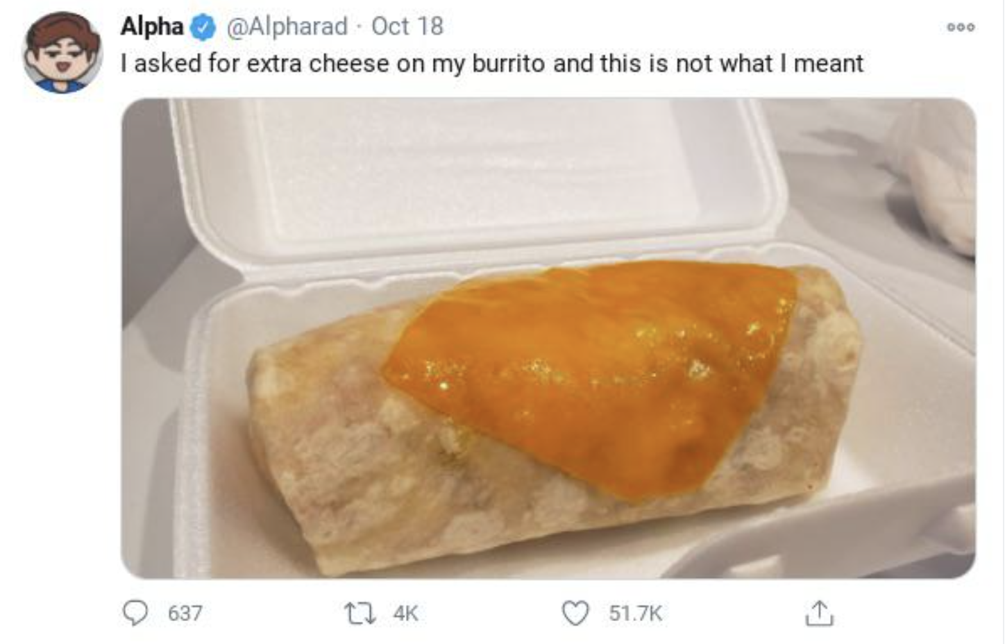 Memes That Technically Tell the Truth - I asked for extra cheese on my burrito and this is not what I meant