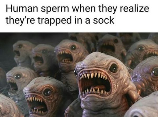 chicken is crispy meme - Human sperm when they realize they're trapped in a sock