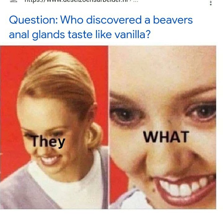 monday morning randomness - wut meme - Med Question Who discovered a beavers anal glands taste vanilla? They What
