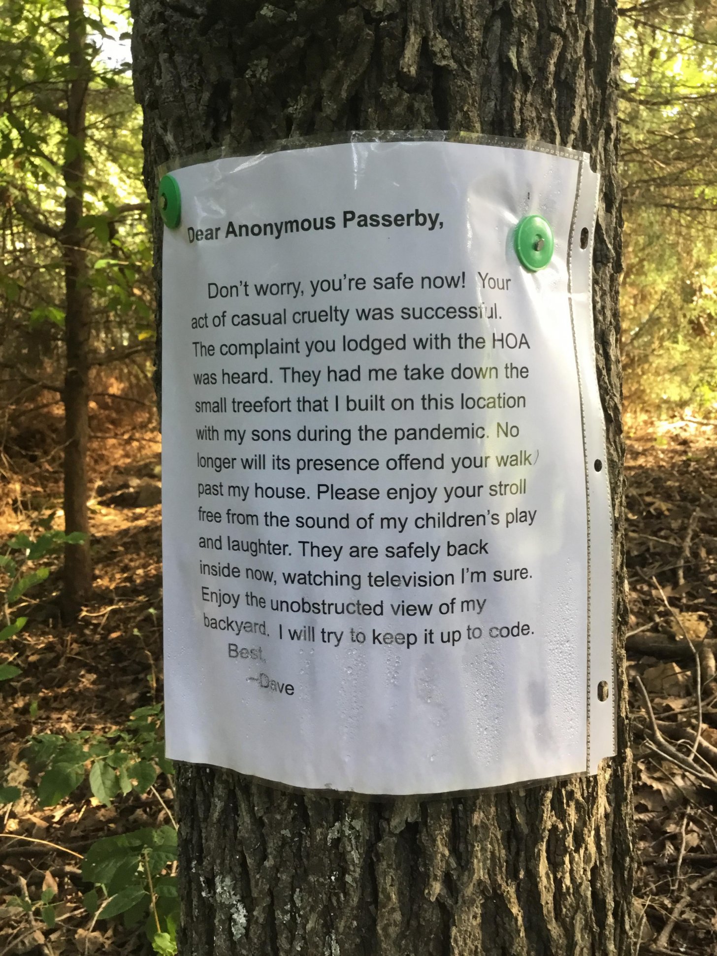 monday morning randomness - dear anonymous passerby - Dear Anonymous Passerby, Don't worry, you're safe now! Your act of casual cruelty was successi The complaint you lodged with the Hoa was heard. They had me take down the small treefort that I built on 