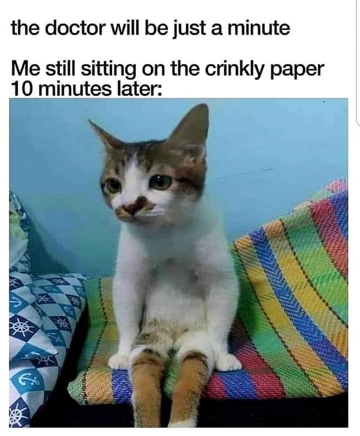 monday morning randomness - funny animal reaction - the doctor will be just a minute Me still sitting on the crinkly paper 10 minutes later S 40 4t 3