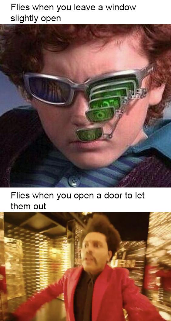 dank memes - funny memes - spy kids meme - Flies when you leave a window slightly open Flies when you open a door to let them out |
