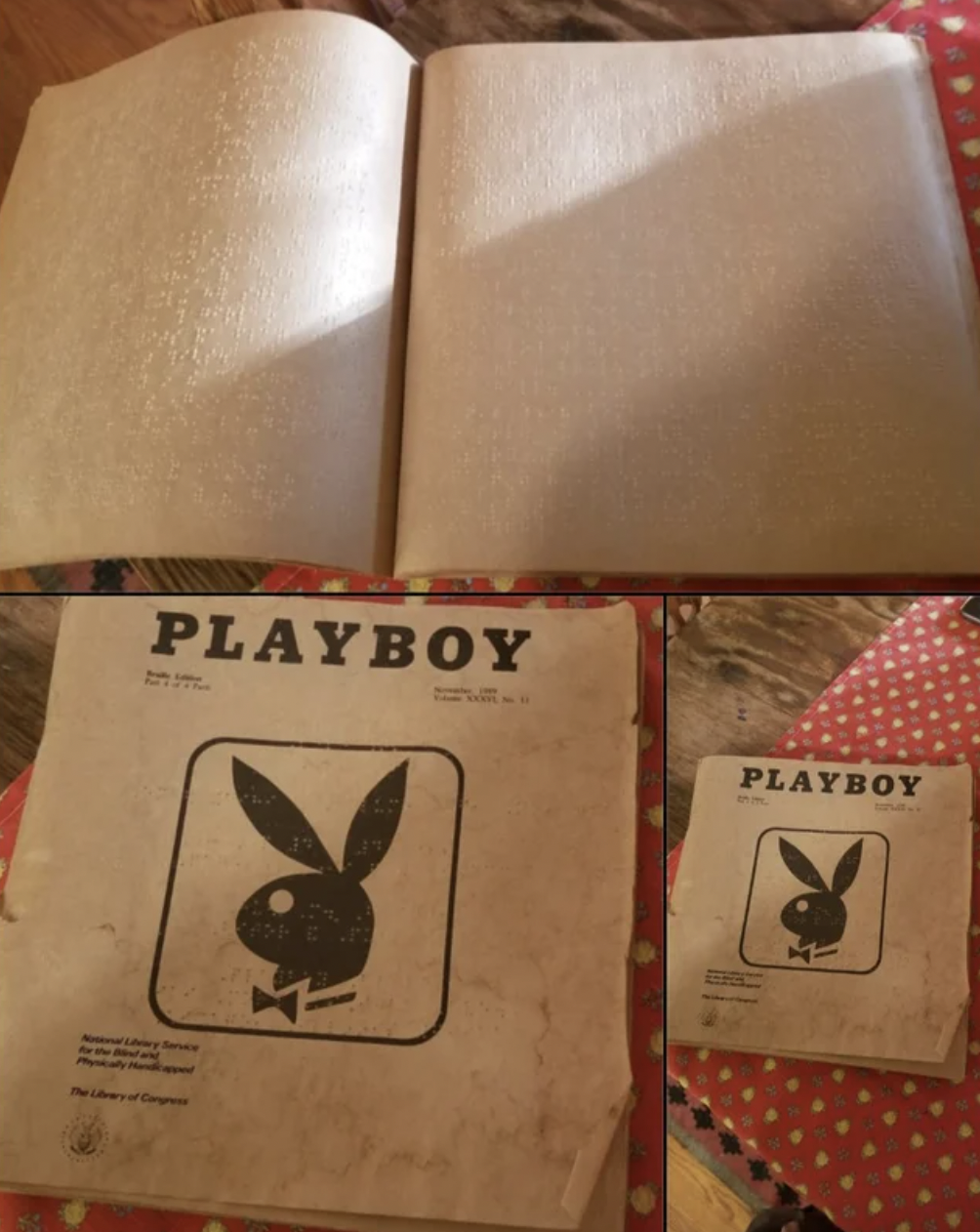 Cool Pictures - play boy - Playboy Playboy
