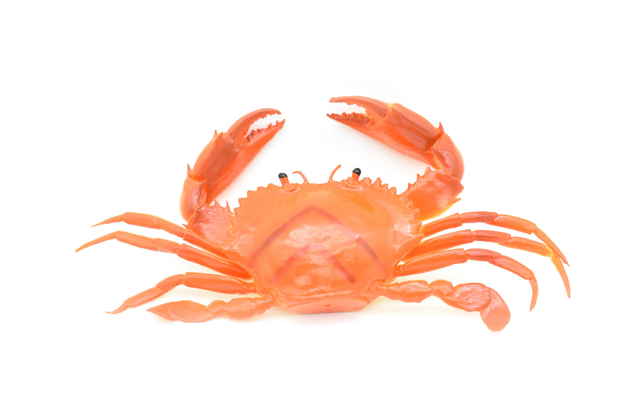Shocking things people found in their spouse's belongings - orange crab