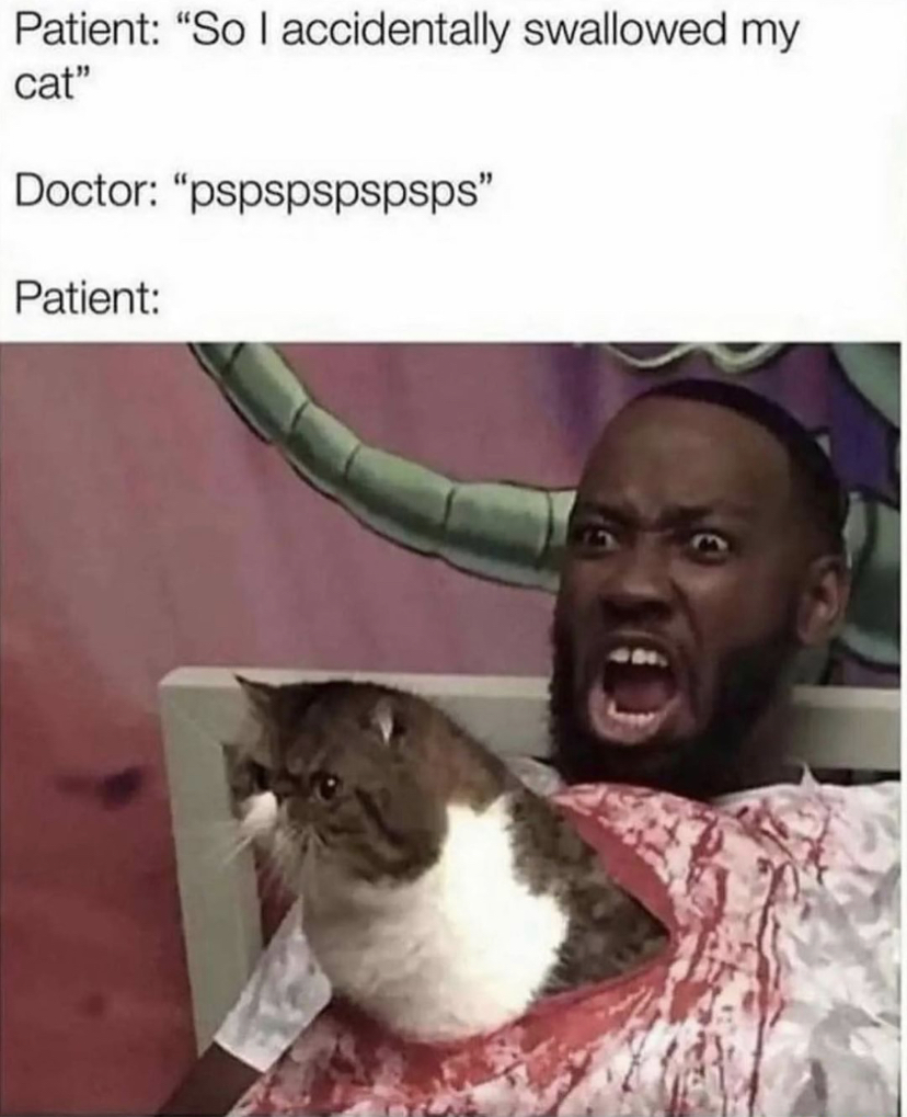 dank memes - chinese food is undercooked meme - Patient "So I accidentally swallowed my cat" Doctor "pspspspspsps" Patient