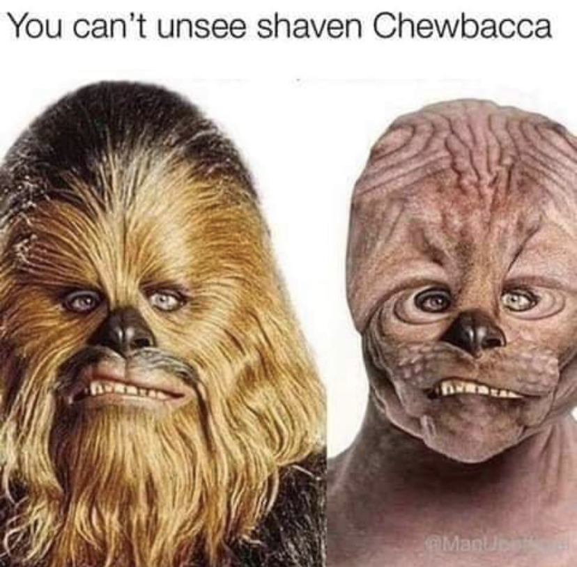dank memes - wwe funny - You can't unsee shaven Chewbacca ManUpe