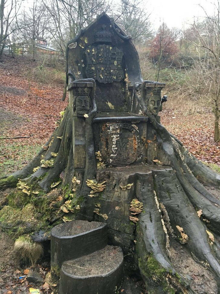fascinating photos - tree trunk throne in kendal england