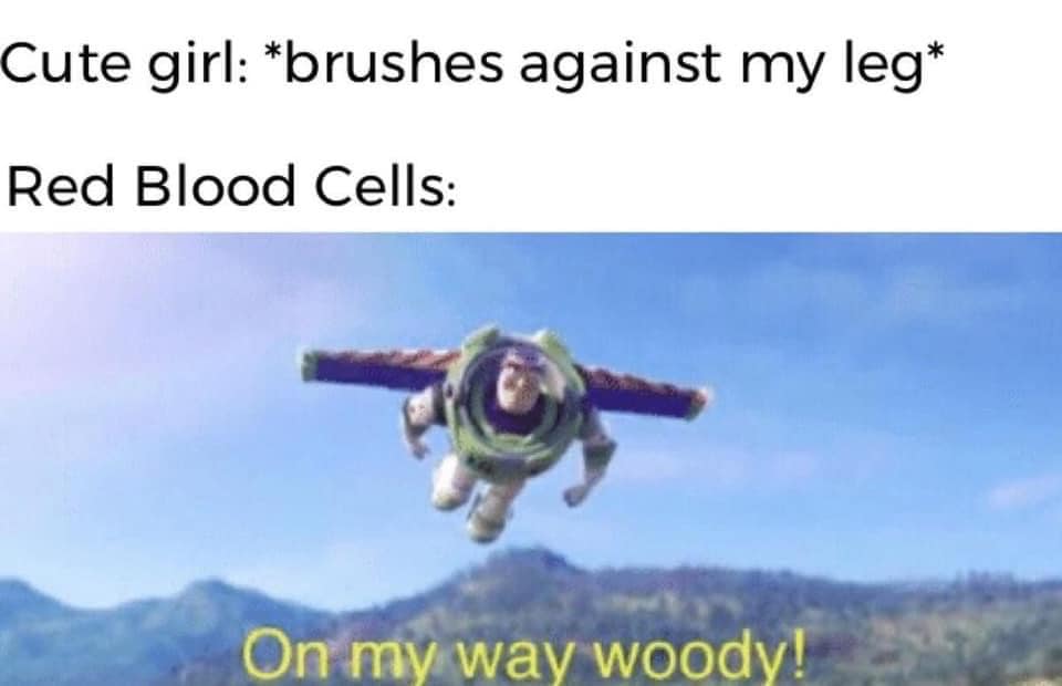 adult themed memes - parachuting - Cute girl brushes against my leg Red Blood Cells On my way woody!