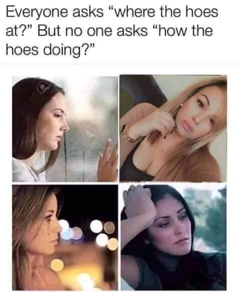 adult themed memes - beauty - Everyone asks "where the hoes at?" But no one asks "how the hoes doing?"