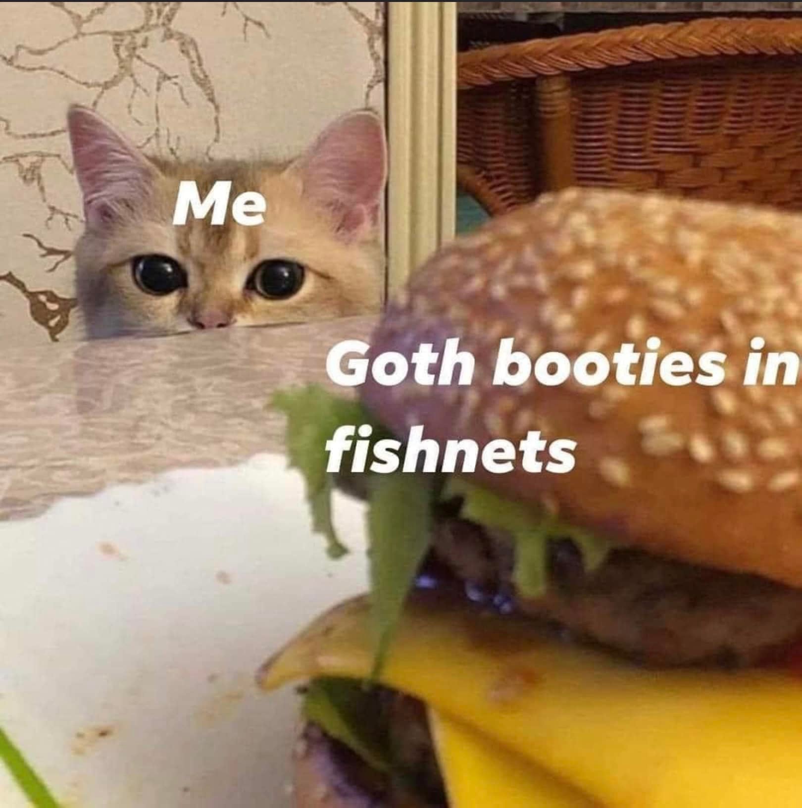 adult themed memes - cat staring at burger - L Me Goth booties in fishnets
