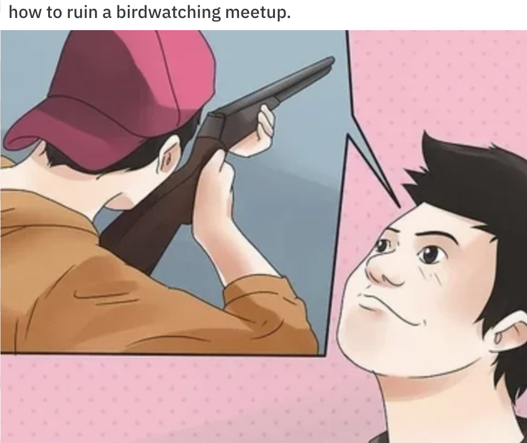 WikiHow Lifehack memes - cartoon - how to ruin a birdwatching meetup.