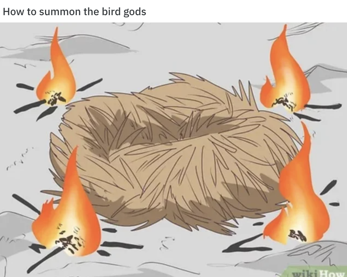 WikiHow Lifehack memes - fauna - How to summon the bird gods wiki How