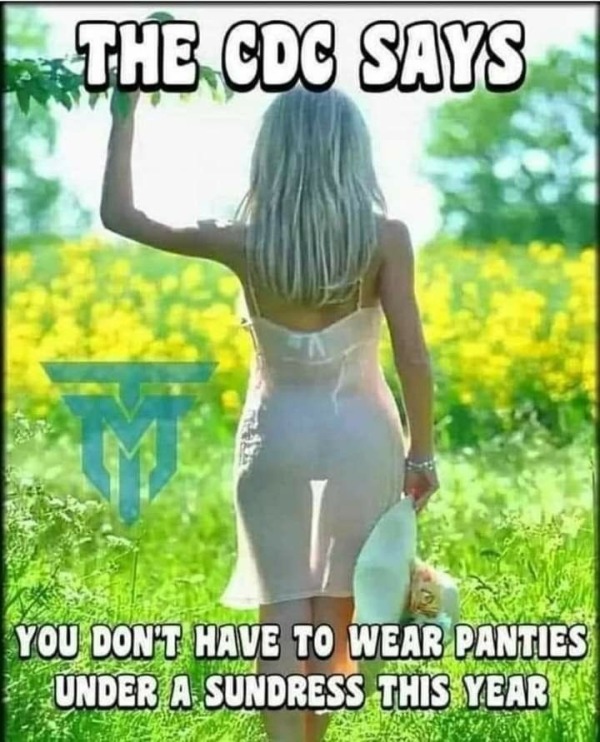 adult themed memes - sundress panties - The Cdc Says You Don'T Have To Wear Panties Under A Sundress This Year