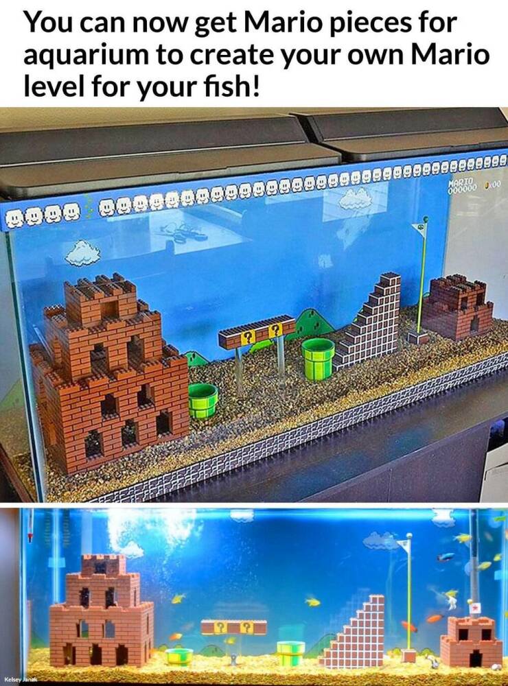 random photos - coolest fish tanks ever - You can now get Mario pieces for aquarium to create your own Mario level for your fish! 1988 888888 Kelsey Marto 00 8888888@@@@@@@@.00
