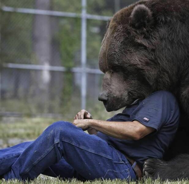 random photos - bear hugging man