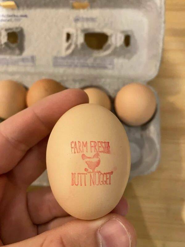 random photos - egg - Farm Frest Butt Nugget