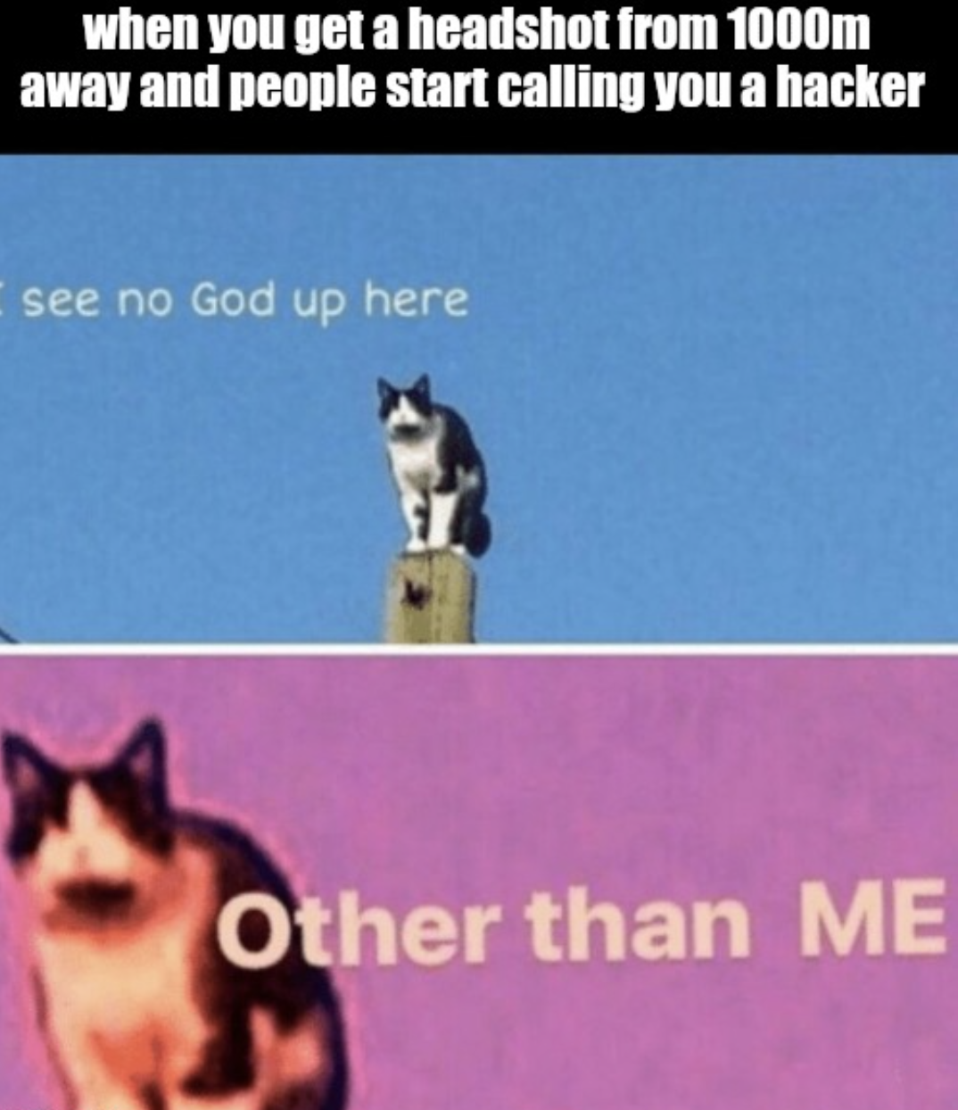gaming memes - funny sayings - when you get a headshot from 1000m away and people start calling you a hacker see no God up here Other than Me