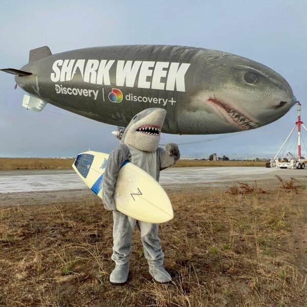 awesome random pics  - zeppelin - Shark Week Discovery discovery N