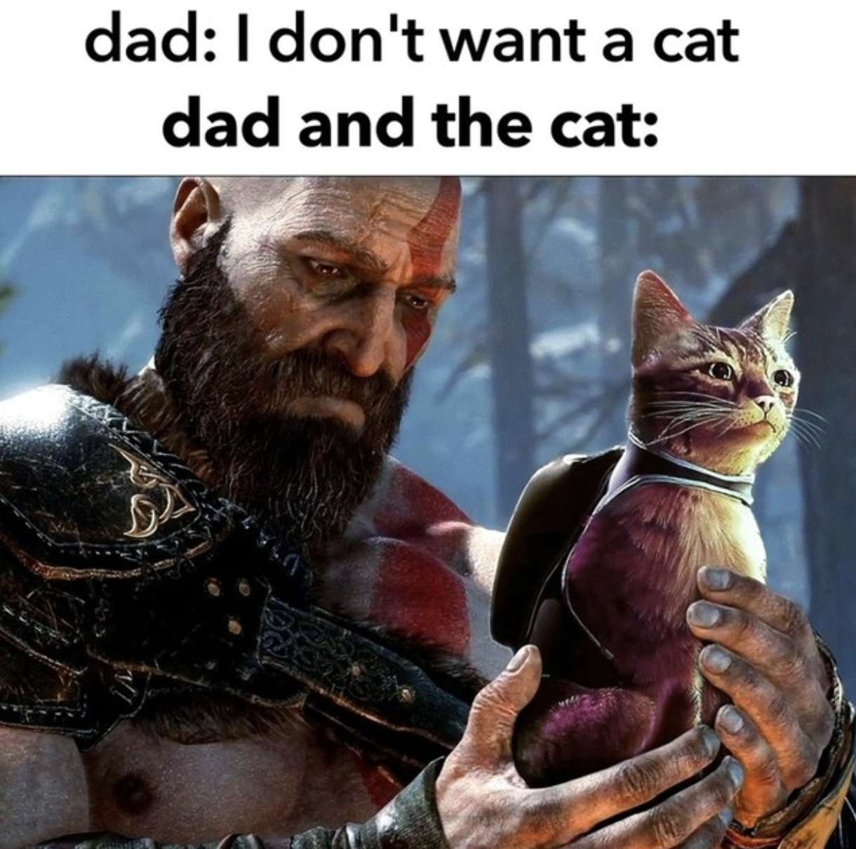 Gaming Memes - stray ps5 - dad I don't want a cat dad and the cat 12
