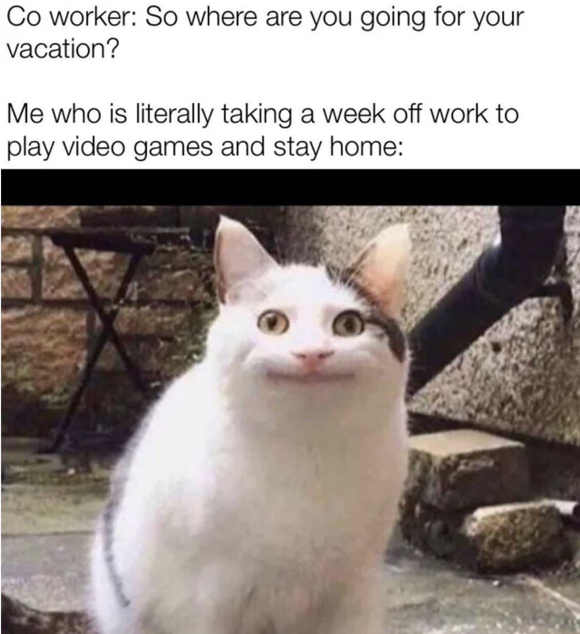 Gaming Memes - Joke - Co worker So where are you going for your vacation? Me who is literally taking a week off work to play video games and stay home
