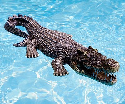 Weird Pool Inflatables - alligator float