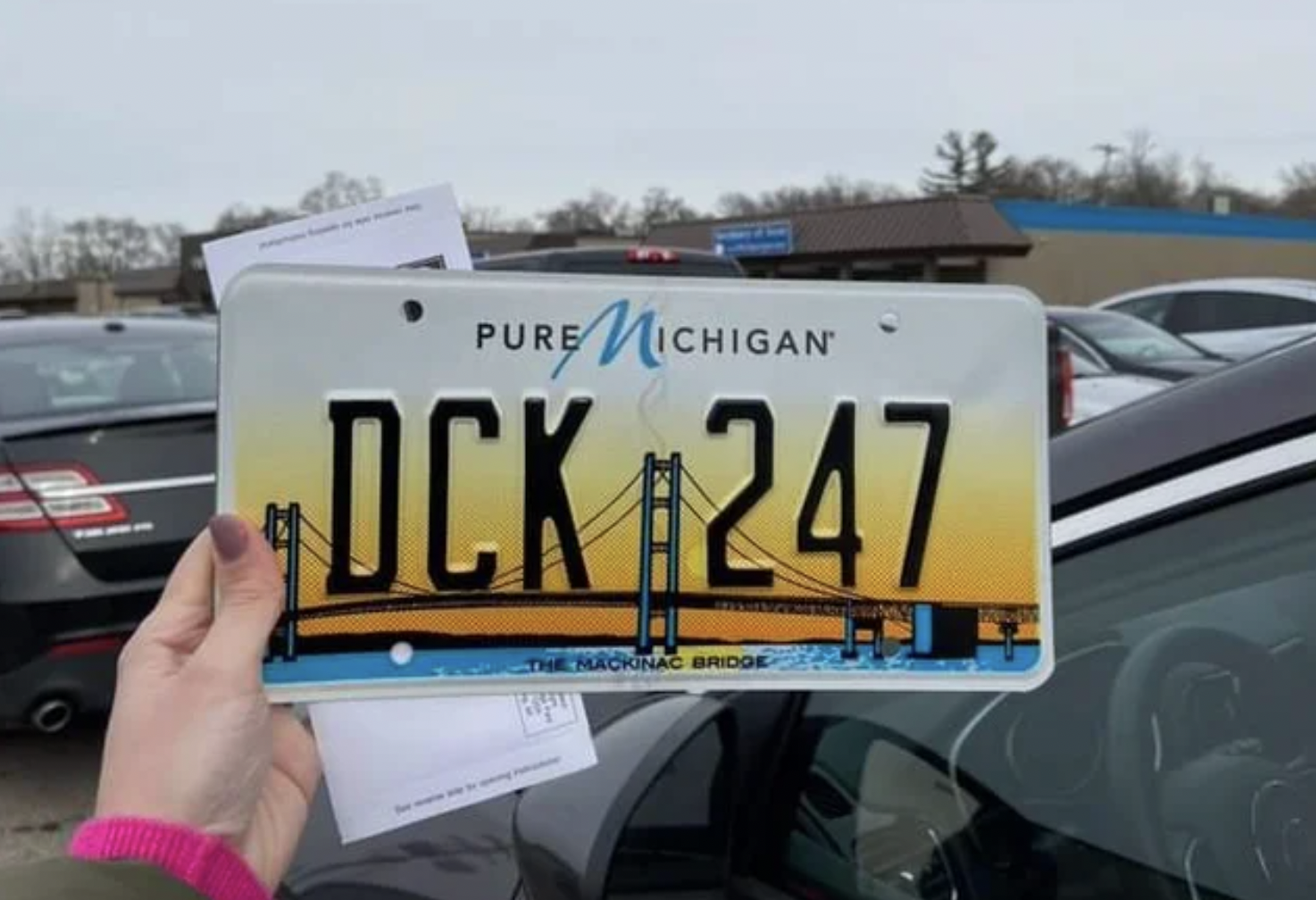 Facepalms - car - Pure Michigan Dck Ackinac Bridge