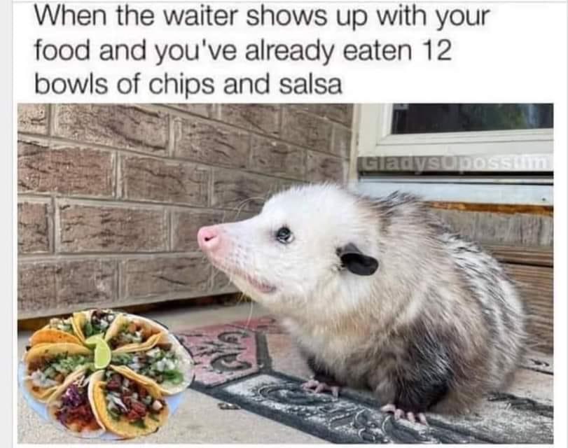 dank memes - possums chonky memes - When the waiter shows up with your food and you've already eaten 12 bowls of chips and salsa GladysOpossum