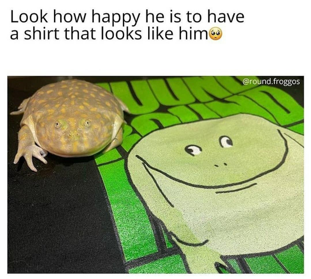 dank memes - fauna - Look how happy he is to have a shirt that looks him .froggos