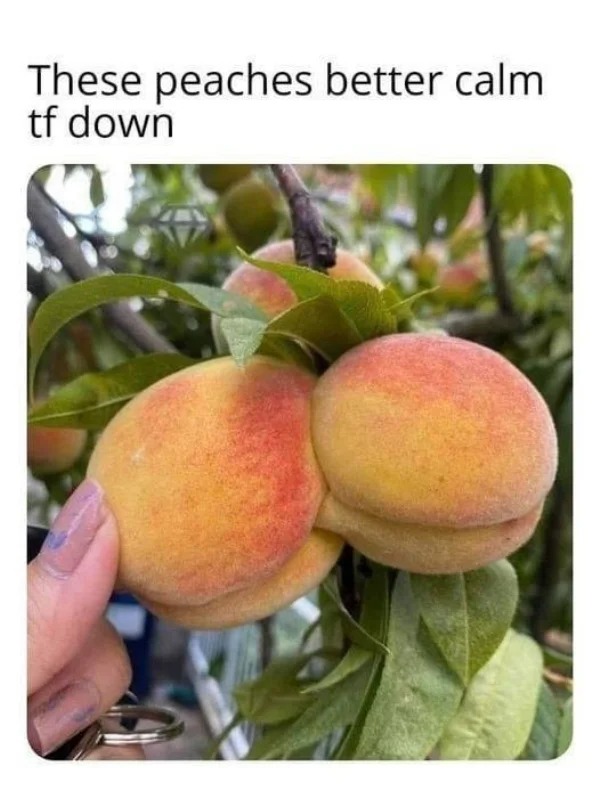 dirty pcis and memes - natural foods - These peaches better calm tf down