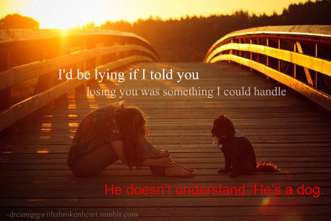 Realistic Inspirational Quotes - really good seafood - I'd be lying if I told you losing you was something I could handle He doesn't understand. He's a dog. dreamingwithabrokenheart.tumblr.com