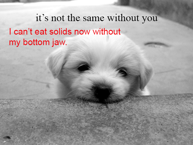 Realistic Inspirational Quotes - inspirational gods plans quotes - it's not the same without you I can't eat solids now without my bottom jaw.