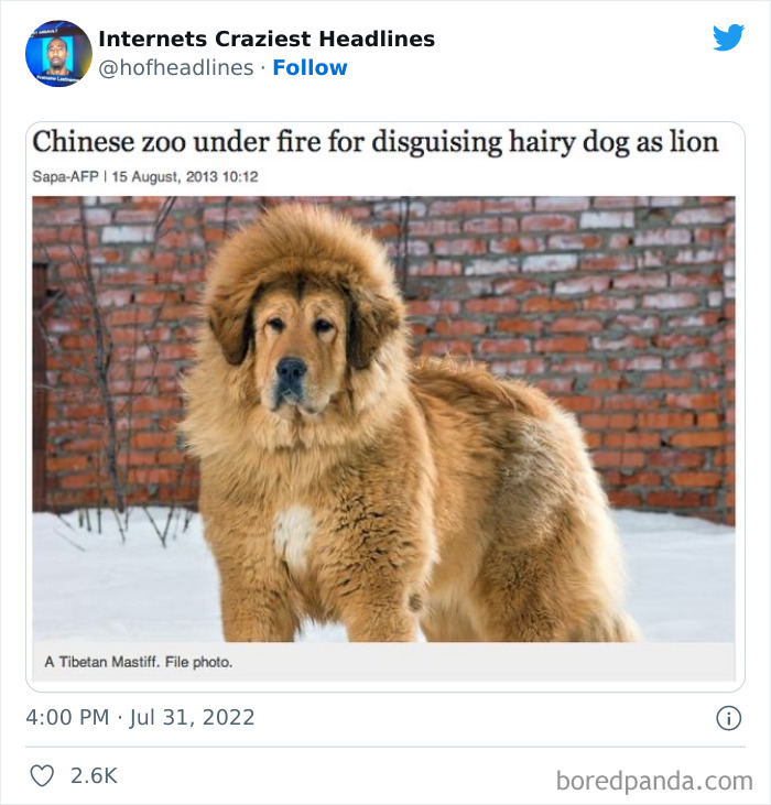 35 Ridiculous Headlines That May Prove We're Living in a Simulation