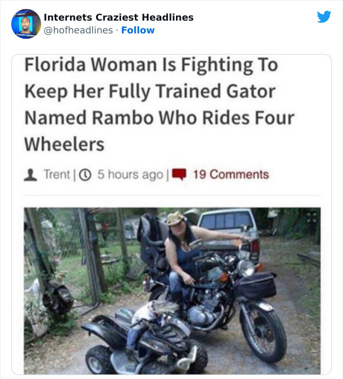 crazy news headlines - florida woman is fighting to keep her fully trained - Internets Craziest Headlines Florida Woman Is Fighting To Keep Her Fully Trained Gator Named Rambo Who Rides Four Wheelers Trent | 5 hours ago | 19