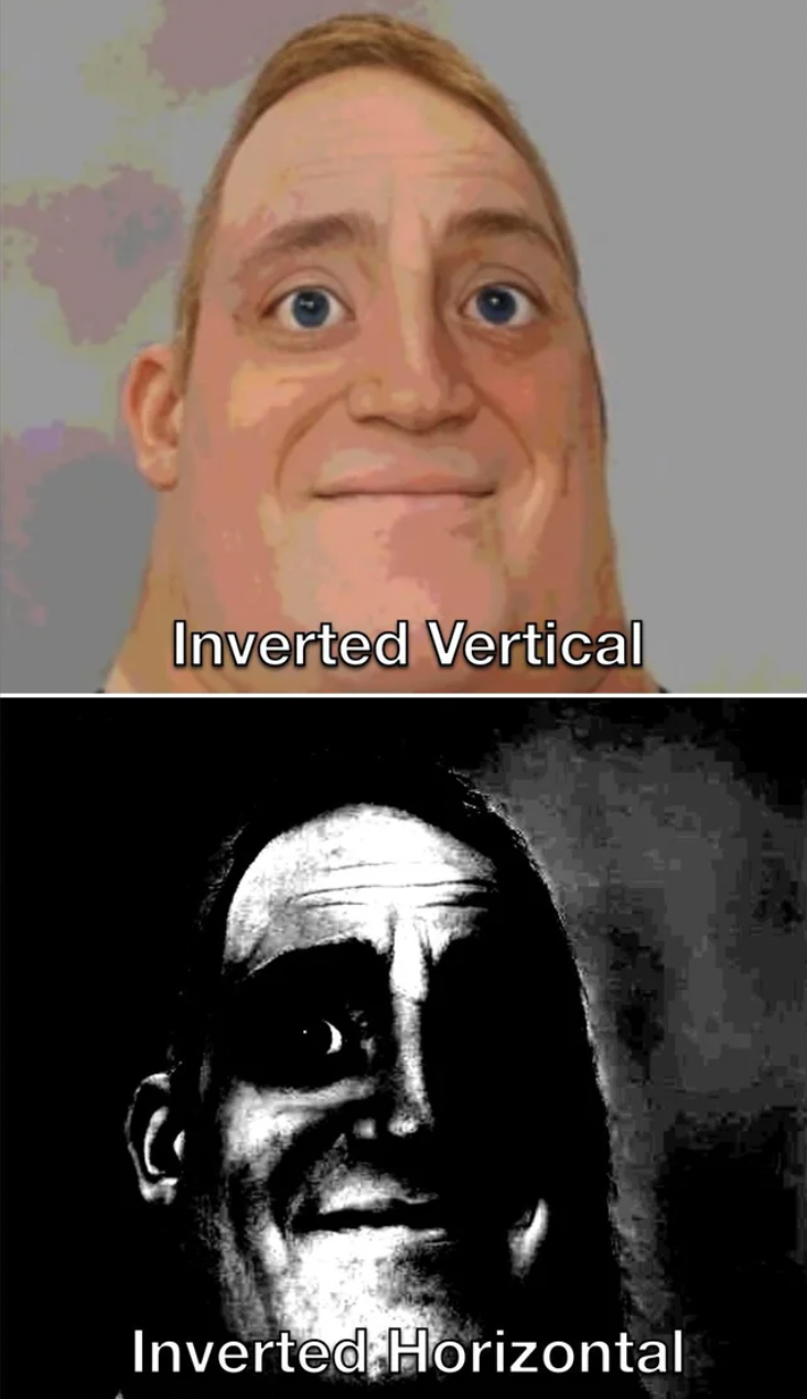Gaming memes - head - Inverted Vertical Inverted Horizontal