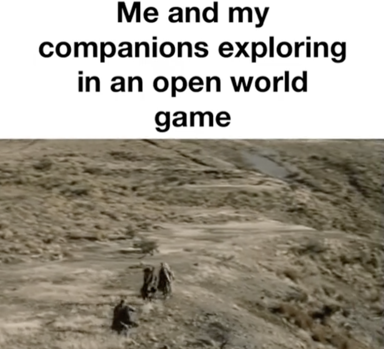 Gaming memes - soil - Me and my companions exploring in an open world game