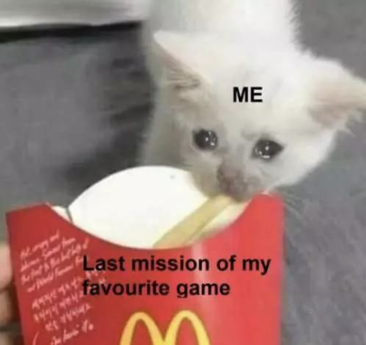 Gaming memes - playing the last mission of your favorite game - Me Last mission of my favourite game Y