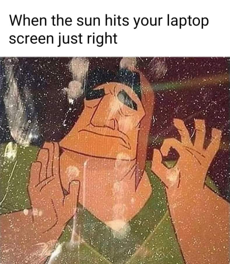 funny memes and pics - cartoon - When the sun hits your laptop screen just right