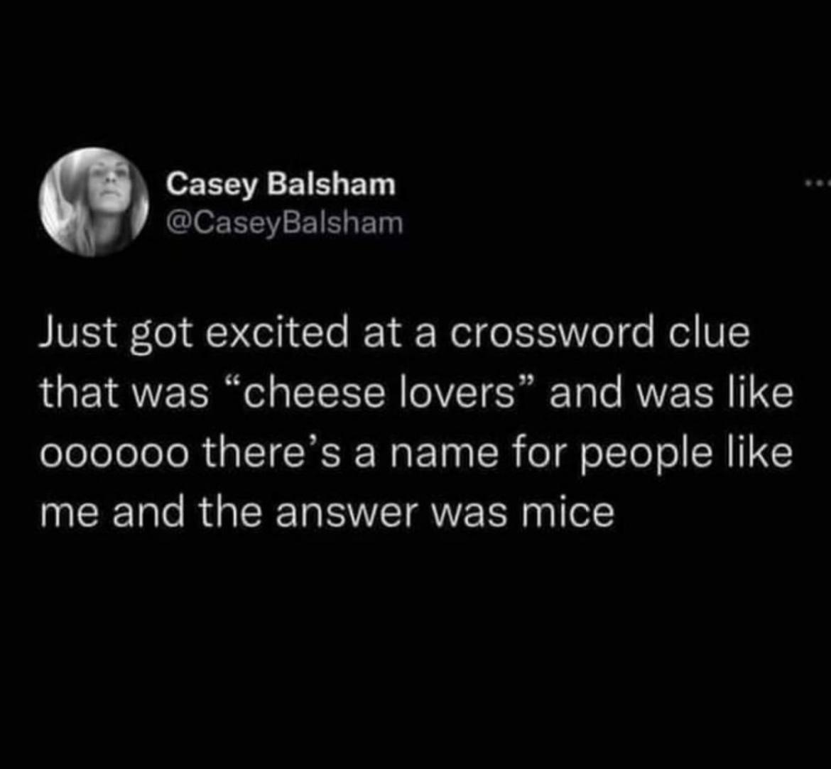 funny memes and pics - fish profile pic meme - Casey Balsham Balsham Just got excited at a crossword clue that was "cheese lovers" and was oooooo there's a name for people me and the answer was mice