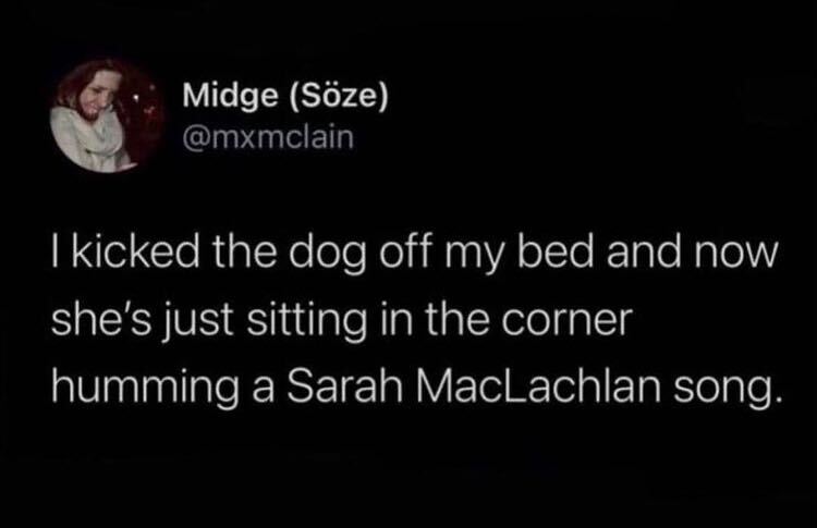 funny memes and pics - anti hindu tweet - Midge Sze I kicked the dog off my bed and now she's just sitting in the corner humming a Sarah MacLachlan song.