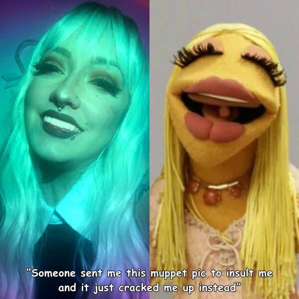 cool random photos - head - "Someone sent me this muppet pic to insult me and it just cracked me up instead"