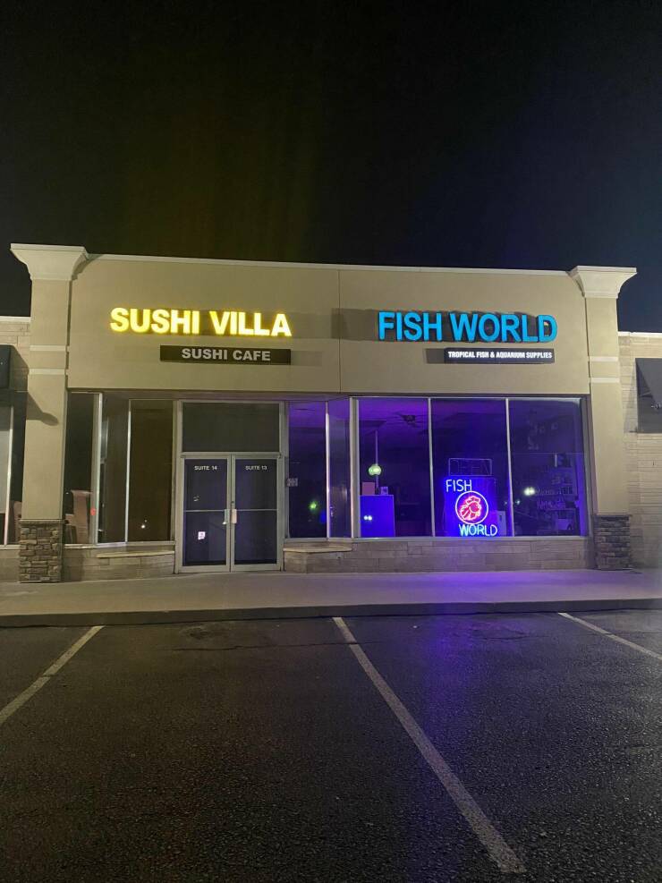 monday morning randomness - Television - Sushi Villa Sushi Cafe Suite 14 Suite 13 Fish World Tropical Fish & Aquarium Supplies Fish World Mon ill