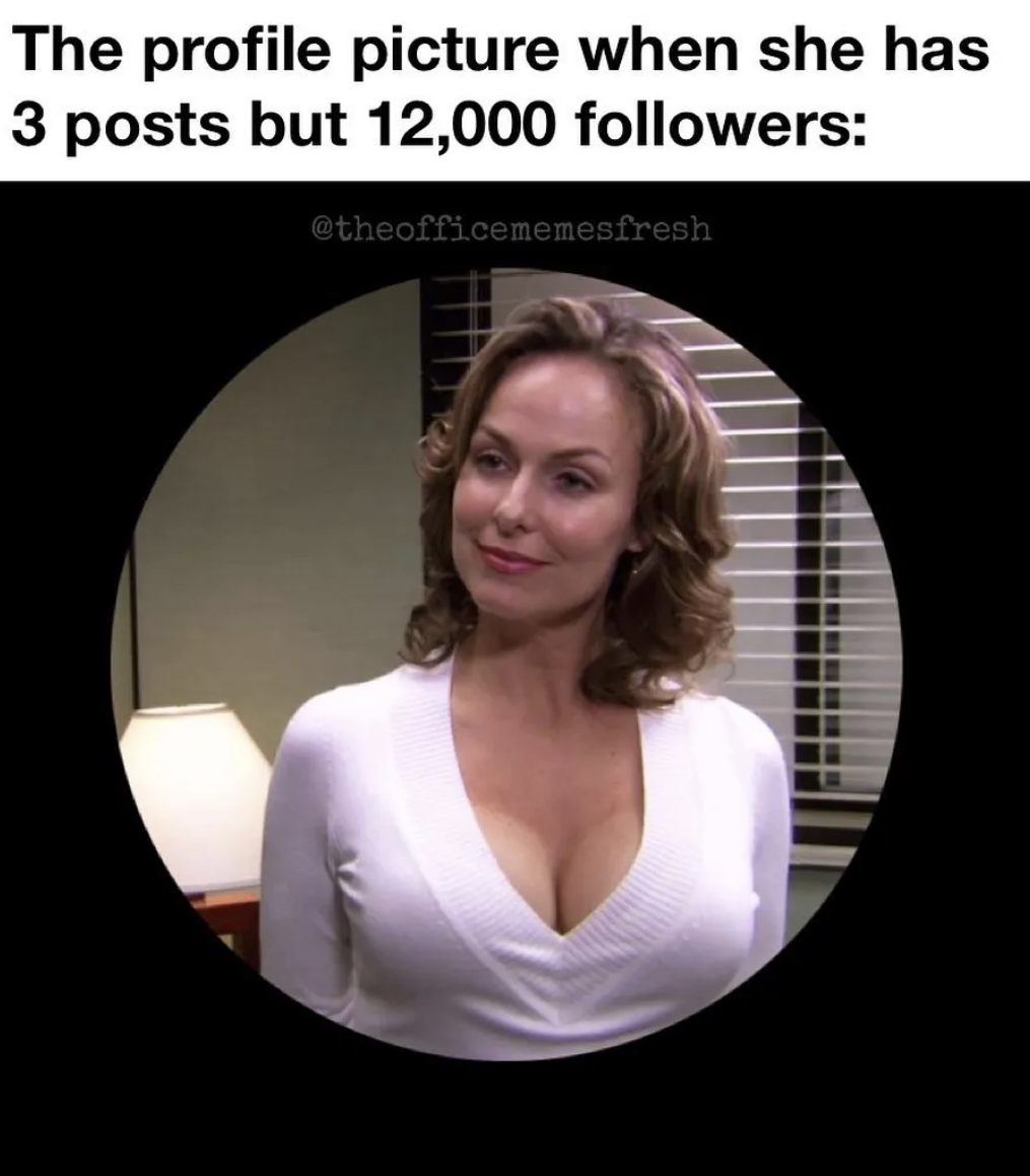 The Office show memes - office jan - The profile picture when she has 3 posts but 12,000 ers