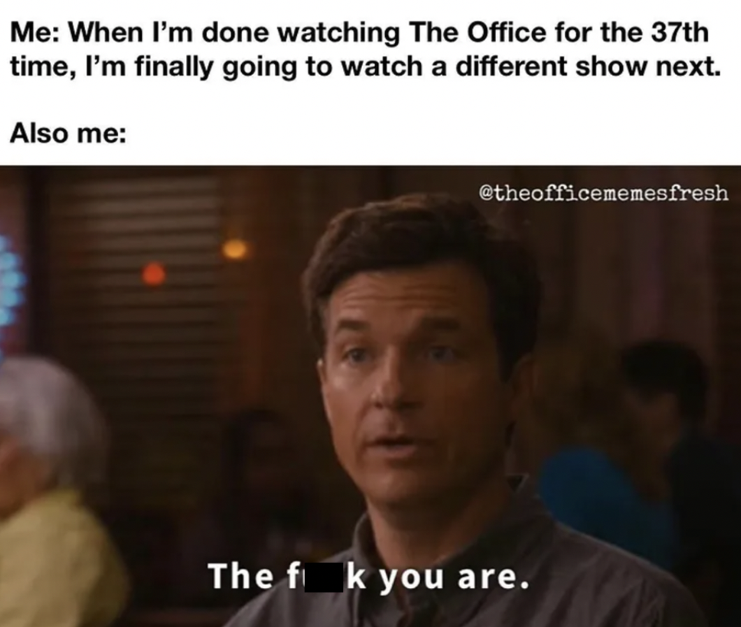 The Office show memes - photo caption - Me When I'm done watching The Office for the 37th time, I'm finally going to watch a different show next. Also me The f k you are.