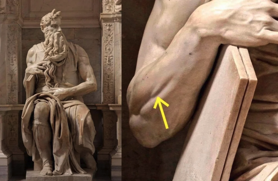 Spectacular Photos  - Michelangelo’s Moses is a marble sculpture made in 1513–15. One of the many details of this masterpiece is one very small muscle in the forearms that contracts only when lifting the pinky, otherwise it is invisible. Moses is lifting 
