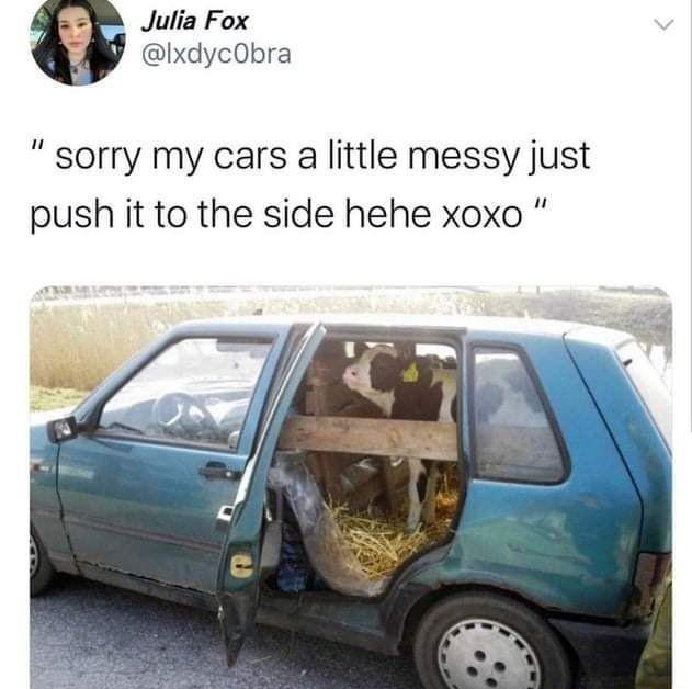 funny memes and pics - messy car meme - Julia Fox sorry my cars a little messy just push it to the side hehe xoxo"