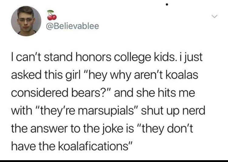 funny memes and pics - paper - I can't stand honors college kids. i just asked this girl "hey why aren't koalas considered bears?" and she hits me with "they're marsupials" shut up nerd the answer to the joke is "they don't have the koalafications"
