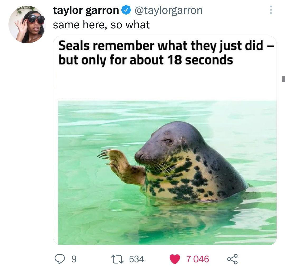 funny memes and pics - fauna - taylor garron same here, so what Seals remember what they just did but only for about 18 seconds 9 534 7 046 L