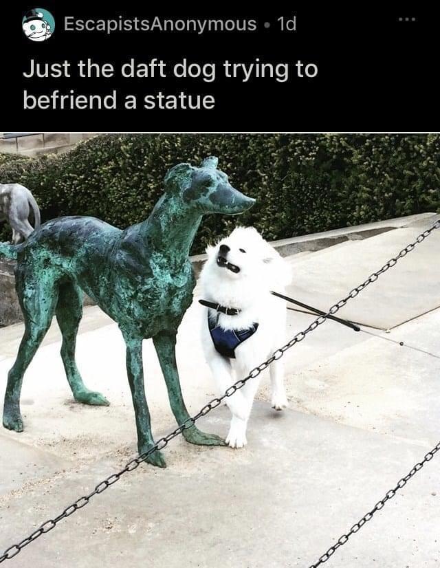 funny memes and pics - dog - Escapists Anonymous. 1d Just the daft dog trying to befriend a statue 2008 xxx C34