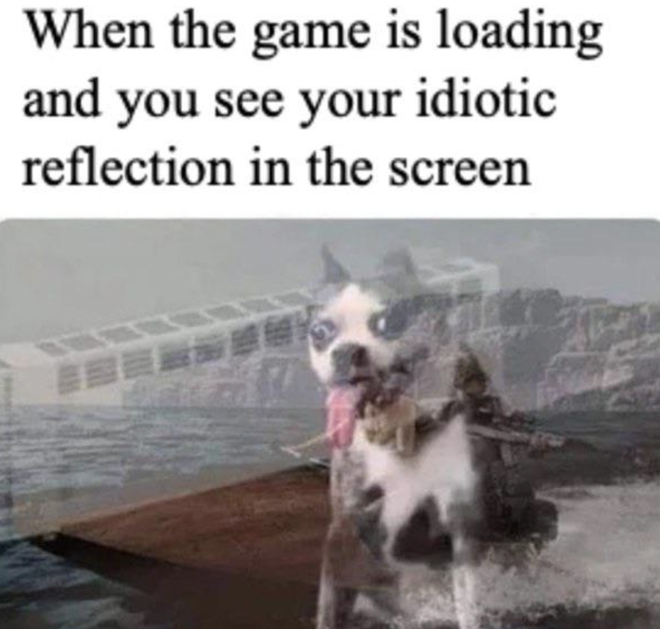 Gaming memes - loading screen dog reflection - When the game is loading and you see your idiotic reflection in the screen